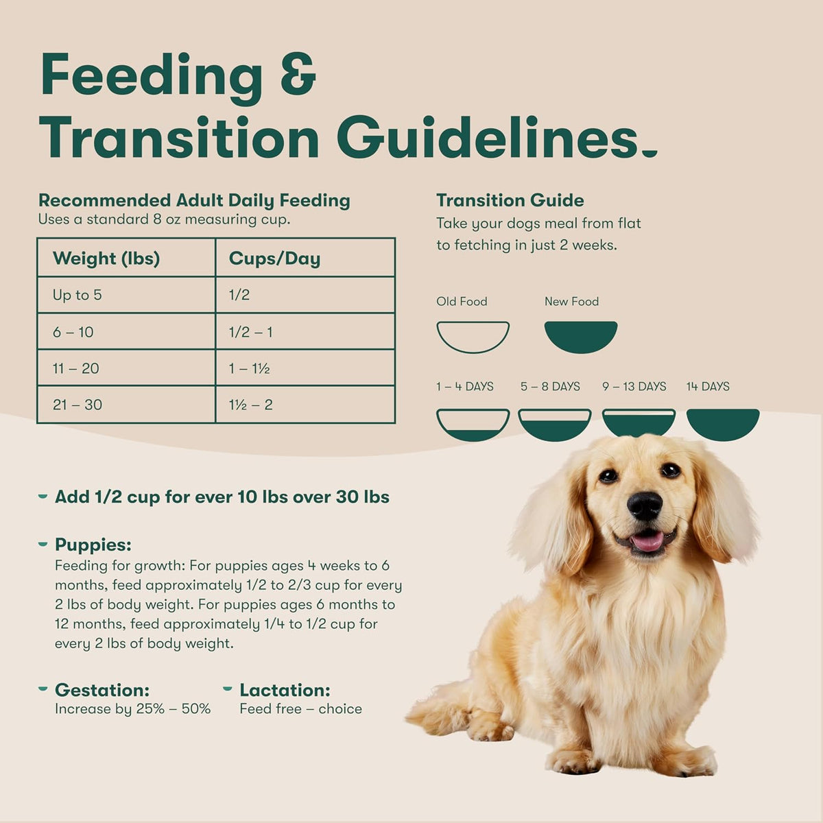 Jinx Grain Free Dry Dog Food - Real Salmon, Sweet Potato & Carrot, 4lb - 4 Pound (Pack of 2)