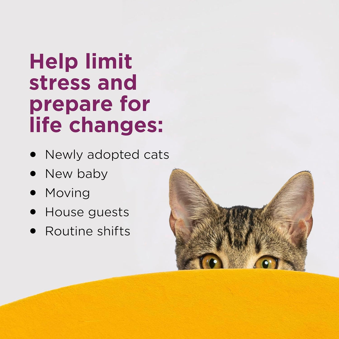 Comfort Zone Cat Calming Diffuser Refill, 3 Pack of 30-Day Refills