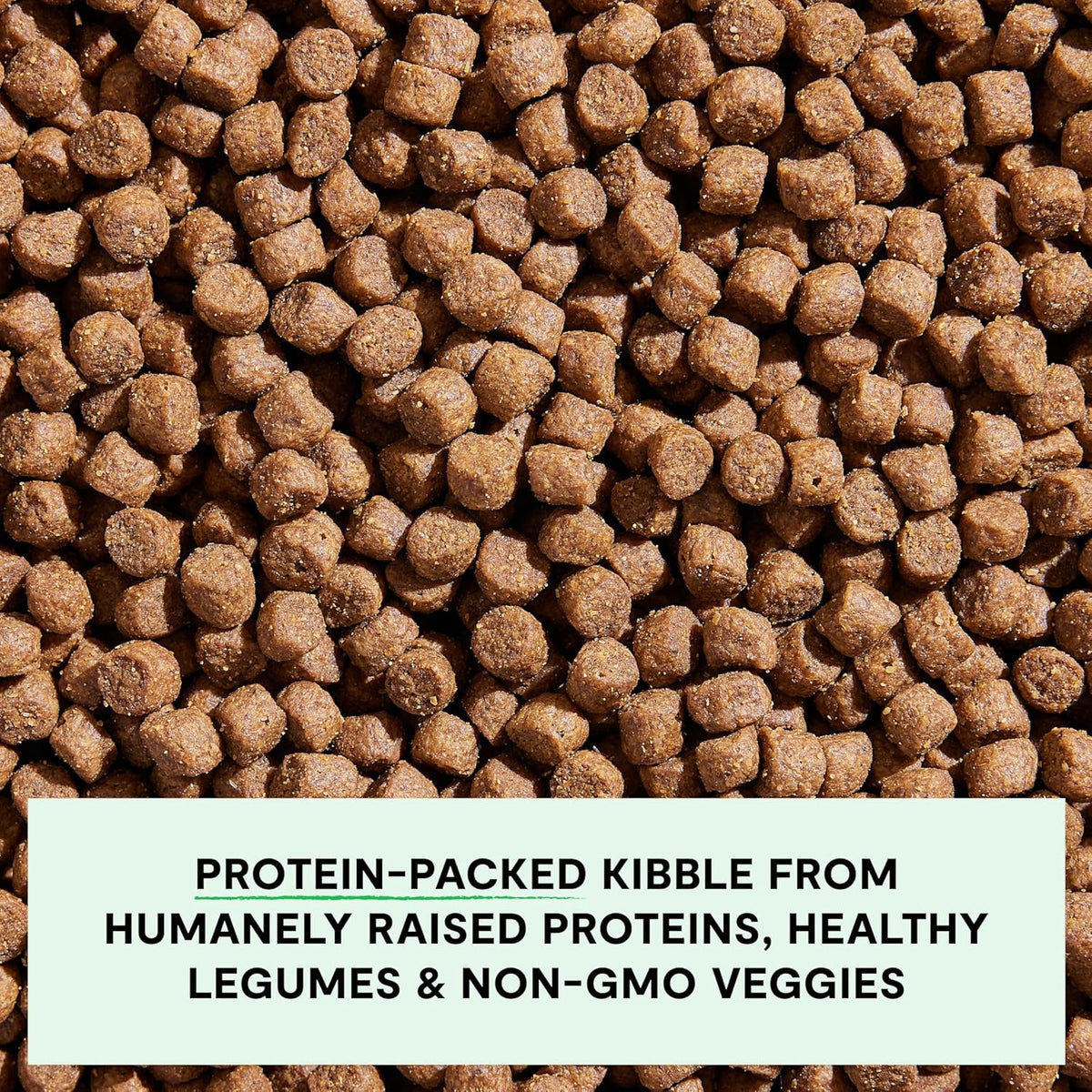 Open Farm Grain Free Dry Dog Food, Pork Kibble, 22lb Bag, 2 Pound (Pack of 1)