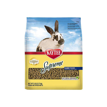 Pet Supplements for Dog Health 1